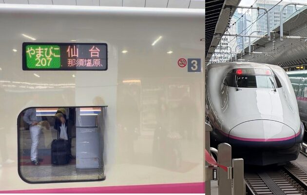 やまびこ207号 10両 E2系