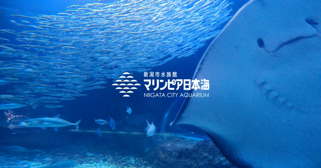 新潟市水族館 マリンピア日本海「日帰りのキュンパス極上旅」シリーズの新潟モデルコース編。元鉄道員が穴場の指定席を取る裏ワザも伝授。